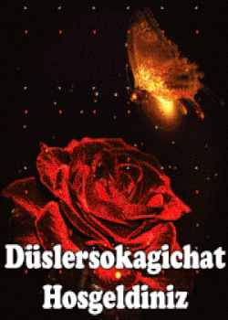 www.duslersokagichat.com